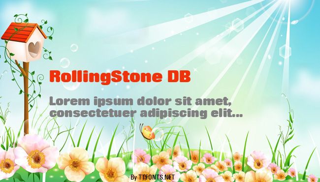 RollingStone DB example